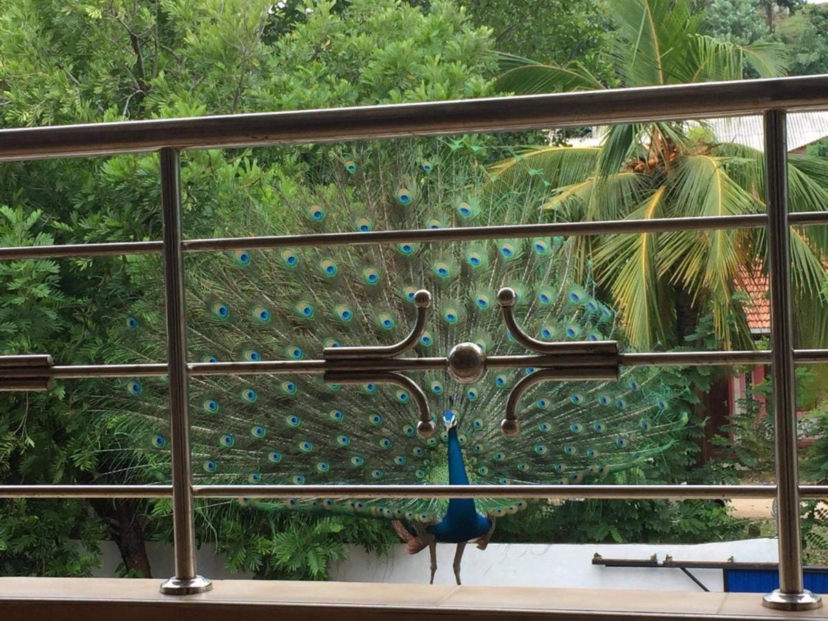 Dream Villa Mirissa Exterior photo